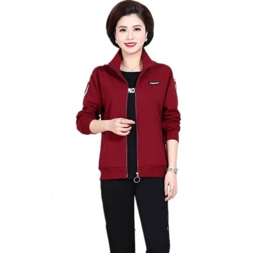 European fashion Lady clothes set 2 piece set Large size Sporting suit female Knitted autumn Women clothing factory Outlet 1636