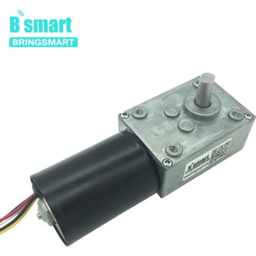 Wholesale BLDC Motor 5840-3650 12V 24V Brushless DC Worm Gear Motor With Reversible