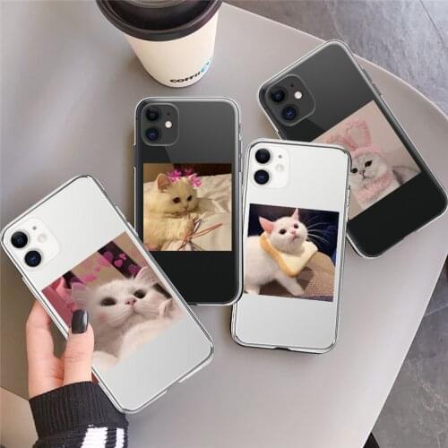 Cartoon Cute Cat Photos Phone Case For iPhone 11 12 Pro X XR XS Max 7 8 Plus SE 2020 Transparent Shockproof Soft Silicone Cover