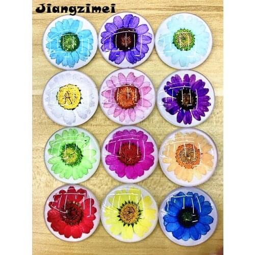 Jiangzimei 10pcs/lot Dry flowers, colourful chrysanthemum,20mm Round photo glass cabochon Bracelets necklace Making