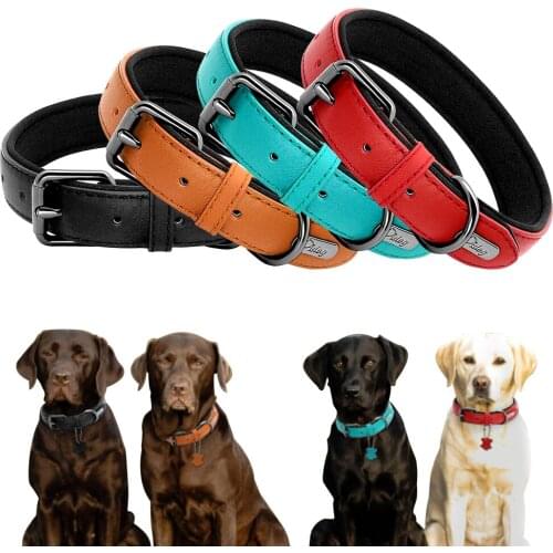 Real Leather Dog Collar Custom Padded Dog ID Collars Dog Accessories For Small Medium Large Dogs Pitbull Bulldog