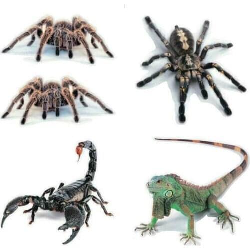 3D Car Sticker Animals Bumper Spider Gecko Scorpions For Subaru XV Forester Outback Legacy Impreza XV BRZ Tribeca