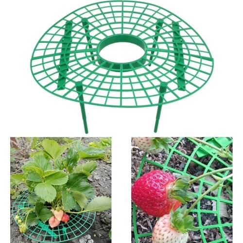 Fruit Support Plant Flower Climbing Vine Pillar Plant Tray Rack 5pcs/set Plastic Strawberry Growing Support Stand