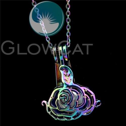 R-C269 Rainbow 24mm Big Flower Beads Cage Pendant Aromatherapy Perfume Diffuser Stone Pearl Cage Locket Necklace