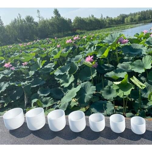 7"-13" C/D/E/F/G/A/B Chakra Frosted Quartz Crystal Singing Bowl Set of 7pcs With Free Mallets