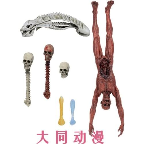 NECA predator accessories package 7-inch corpse scene model hand made ornaments
