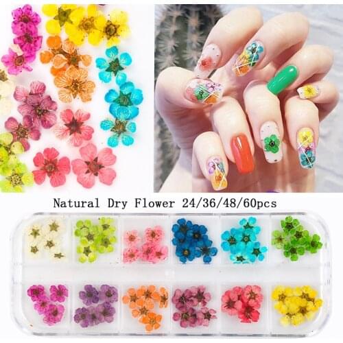 60PCS Fresh Natural Dried Flowers Handmade Cute Nail Art for Women Girl DIY Nail Designs 3D Nail Art Decorations Nail Supplies