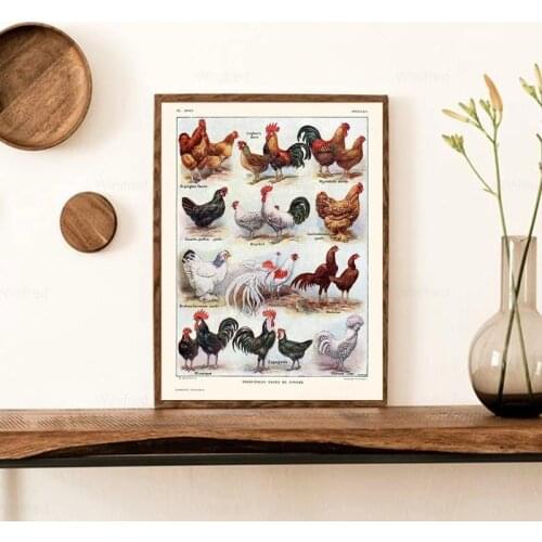 French Hens and Roosters Breeds Print Poultry Chickens Vintage Poster Kitchen Wall Art Canvas Painting Home Room Decor Pictures
