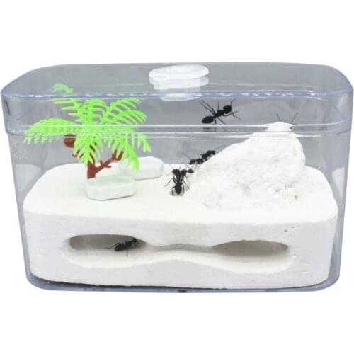 Ant Farm Plaster Ant Nest Insect Box with Workshop Pet Anthill Castle Natural Ecological Ants House 11.8x6x7cm Q1FD