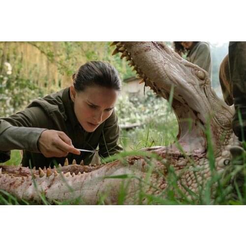 Annihilation 2018 Movie 2 Silk Fabric Wall Poster Art Decor Sticker Bright