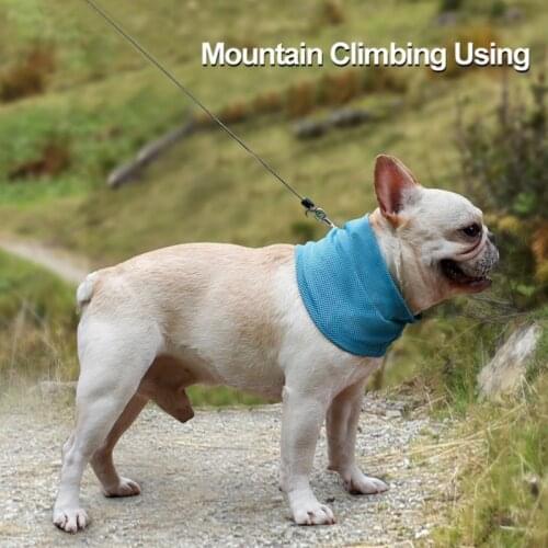 New Instant Cooling Pet Bandana Dog Scarf Bulldog Summer Cooling Towel Wrap Dog Collar