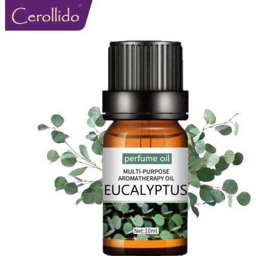 Eucalyptus Perfume Oil Essential Oil 10ml For Diffuser Aromatherapy DIY Soap Making Fresh Air Violet Peppermint Lavender