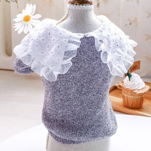 Lace Hoodie Pet Clothing Dogs Coat Warm for Dog Clothes Small Costume Cotton French Bulldog Autumn Winter Gary Boy Collar Perro
