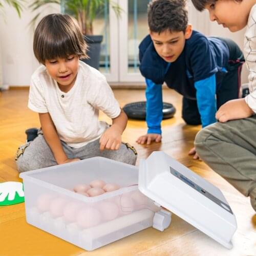 50PCS 60ml Disposable Coffee Cup Clear Portion Transparent Trapezoidal Container for Jelly Yogurt Mousses Dessert Set