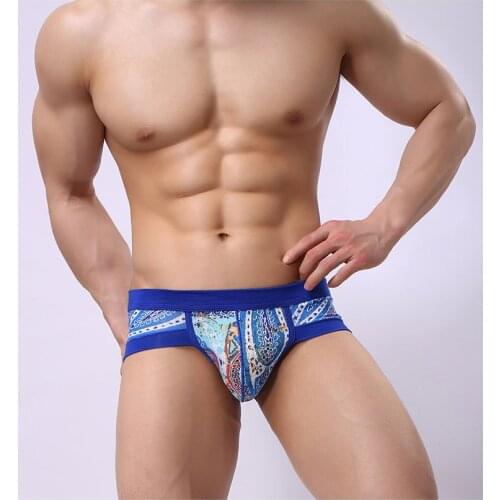 Men Briefs Sexy Underwear Bikini Modal Soft Underpants Men U Convex Pouch Briefs Triangle Panties Sexy Male Underwear Lingerie