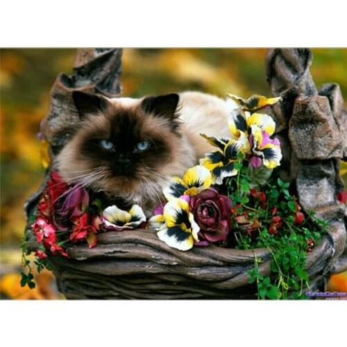 Diy Diamond Embroidery Flower and cat 30 3d crystals Square drill full Diamond Mosaic Cross stitch kit Diamond Painting 50*38cm