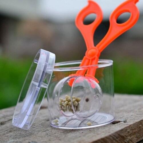 1PC Kid Plant Insect Study Tool Nature Exploration Toy Kit Scissor Clamp Tweezer Toy