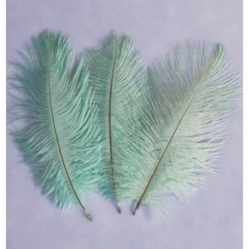 Holiday Decorations 10pcs beautiful Mint green ostrich feathers 6-8 inches/15-20 cm wholesale decoration