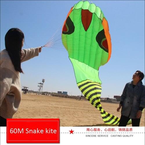 60M large soft inflatable snake kite with long tails for audlts 3D solid parafoil show kite free shipping