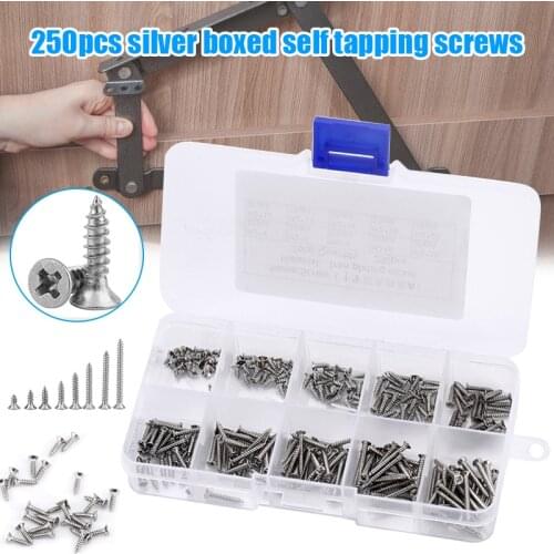 250 Pcs M2 Screw Set 10 Size Cross Recessed Round Head Stainless Steel Self-tapping Screws Kit DIY Countersunk Head Smal Scres