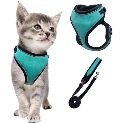 Cat Harness and Leash for Walking, Escape Proof Soft Adjustable Vest Harnesses for Cats, Easy Control Breathable