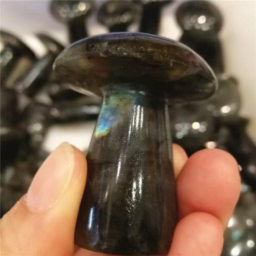 100% natural labradorite stone natural crystal carving mushroom for healing gift 1 pc