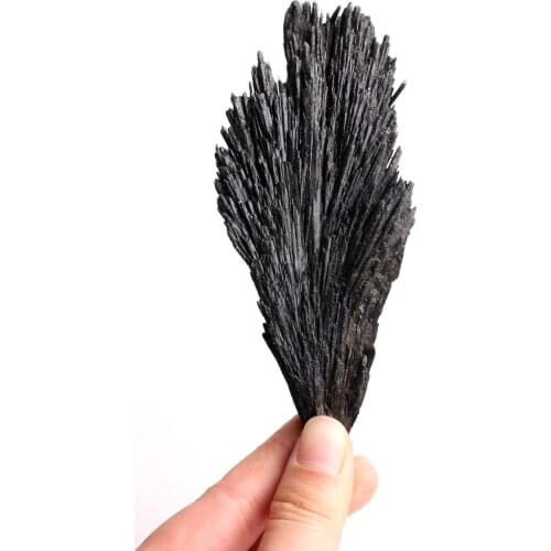 1PC Large Rare Natural Rough Black Kyanite Raw Crystal Peacock Tail Shape Decor Minerals Specimen Healing Diy Gift