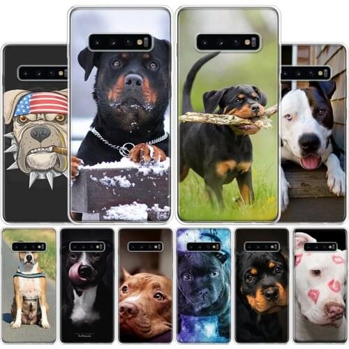 Pit Bull Lovely Pet Dog Pitbull Phone Case For Samsung Galaxy A51 A71 A50S A30S A10 A20E A40 A70 M30S A01 A21 A6 A7 A8 A9 Plus