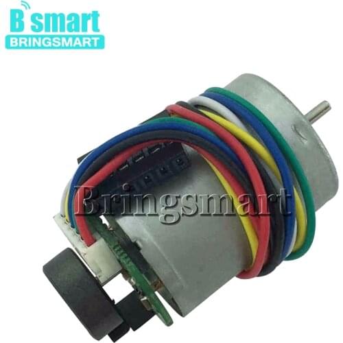 Bringsmart Permanent Magnet Motor RF371 12V High Speed Encoder 4300RPM Adjustable Speed DC 6V 24V Reducer Motor For Robot DIY