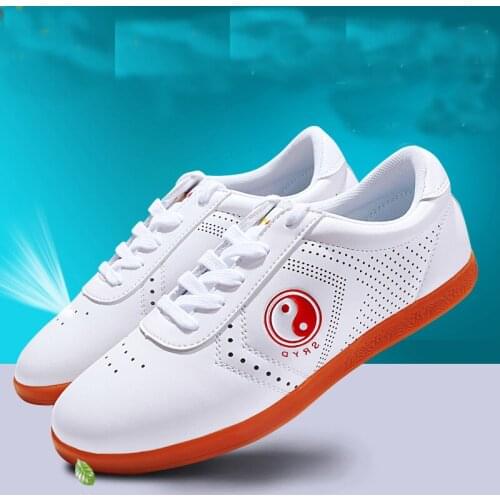 Wushu Shoes Taichi Shoes Taolu kungfu Taiji Practice Shoes for Men Women Kids