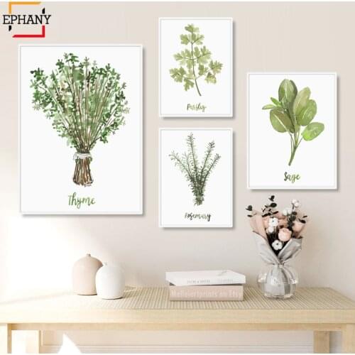 Herbs Watercolor Painting Kitchen Prints Sage Thyme Rosemary Parsley Gallery Wall Art Canvas Posters for Living Room Home Decor