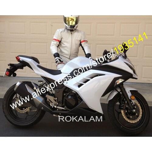 For Kawasaki Ninja EX 300R 2013 2014 2015 2016 EX300 Ninja300 EX 300 Aftermarket Moto Fairing (Injection molding)