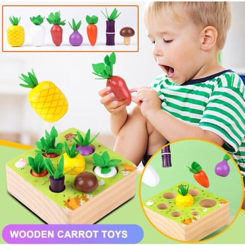 Montessori Wooden Toys for 1- 2 Year Old Boys & Girls,Educational Toys of Shape Size Sorting Puzzle, Vegetables & Fruits Toys