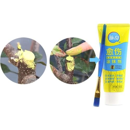 100g Tree Wound Bonsai Cut Paste Smear Agent Pruning Compound Sealer with Brush