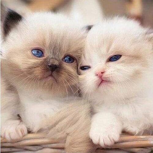 Icon Diamond Embroidery By Number Cute Kitten Mosaic Crystal 5D Cross Stitch Square Diamond Painting DIY Sticker Decorative