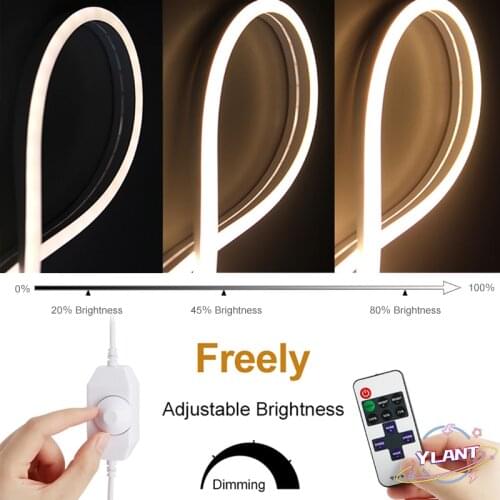 SWT Dimmable control Remote control Wall Lamp white/warmwhite lightfor Dressing Table LED Makeup Mirror Light Strip Vanity Light