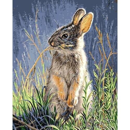 Bunny Foraging In The Grass Animal Painting By Numbers Hand Painted Oil Adult Child Picture Colouring Home Decor Unique Gift