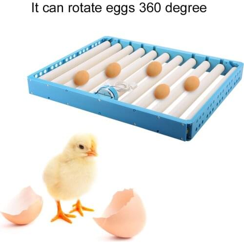 Plastic Durable Rotary Automatic Roller Pattern Egg Turner Incubation Accessory(220V)