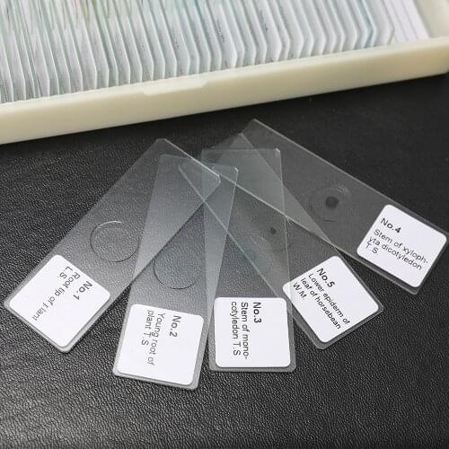 50PCS/Set Microscope Slides Biological Glass Sample Prepared Basic Animal Plants Insects Tissues Science Specimen Cover Slips