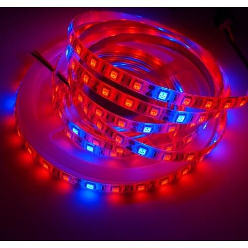 5m DC12V Phyto Lamps Full Spectrum LED Strip Light 60leds/m SMD 5050 LED Fitolampy Grow Lights For Greenhouse Hydroponic plant