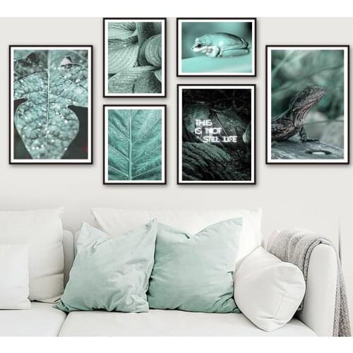 Tropical Plant Leaf Water Drop Frog Lizard Wall Art Canvas Painting Nordic Poster And Prints Wall Pictures For Living Room Decor
