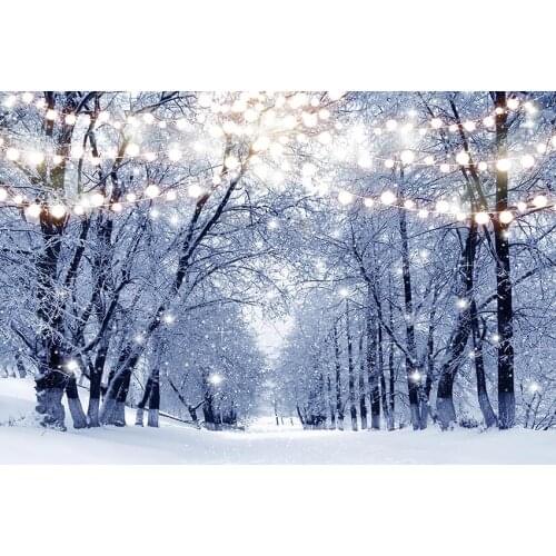 Snow forest fairy girls photo background vinyl winter pet photography backdrop for photographer studio props fotografia lv-2090