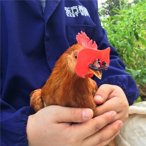 Free shipping New No bolt chicken glasses Red Soft glasses Anti-pecking goggles Farm Equipment Wholesale