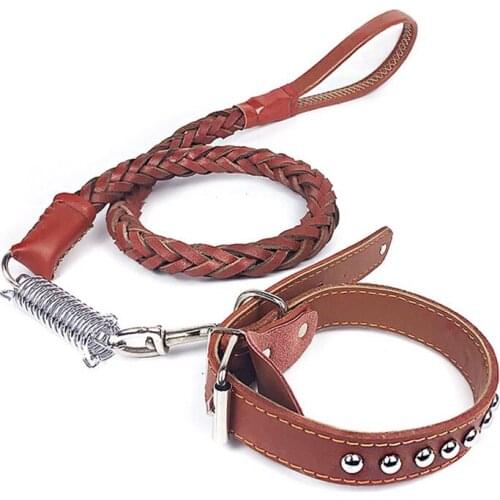 Pet Dog Leash Summer Cowhide Material Braided Spring Style Suitable For Medium and Large Dogs Leash Pet Dog Supplies