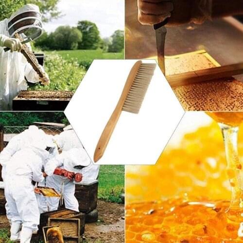 1 PCS Bee Sweep Wooden handle Double Rows Of Horsetail Honey Accessories New Style Bee Brushes Beekeeping Tool