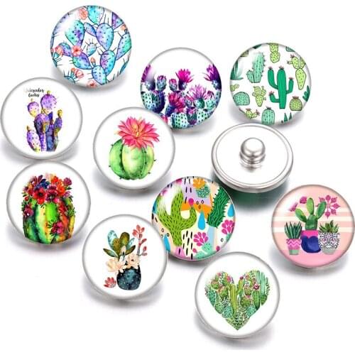 Lucky Clover Potted plant cactus 18mm snap buttons 10pcs mixed round photo glass cabochon style for snap button jewelry