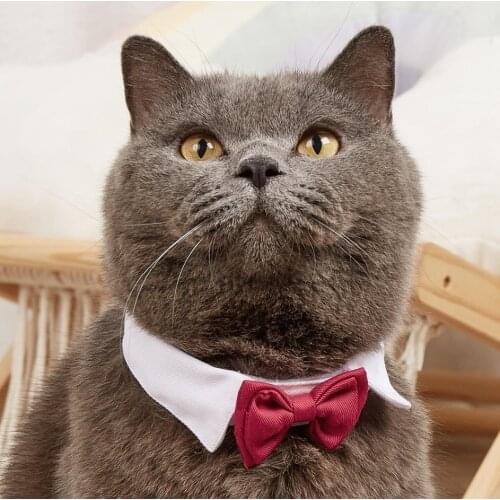 Adjustable Pets Dog Cat Bow Tie Pet Costume Necktie Collar for Small Dogs Puppy Grooming Accessories Halloween Accessories