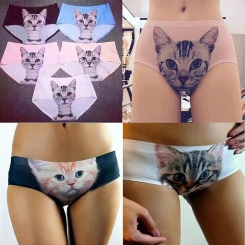 Cat Cartoon Animal funny sexy hot panties female kawaii Lovely underwear push up briefs women lingerie thongs