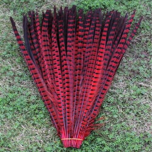 Free shipping 100 PCS long red color pheasant tail feathers 22-24inches/55-60cm