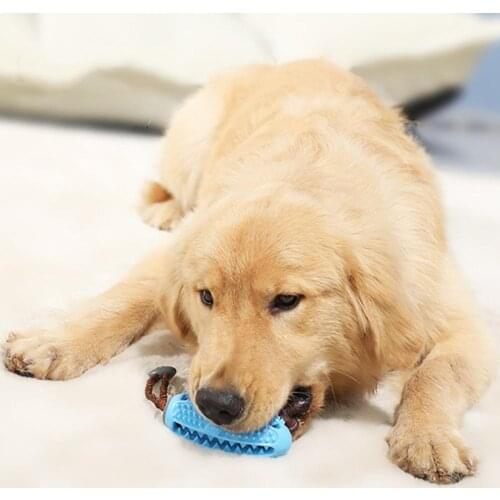 Pet Dog Toys Interactive Natural Rubber Ball Toy Funny Interactive Elasticity Clean Teeth Playing Moral Balls Dogs Chew Toys